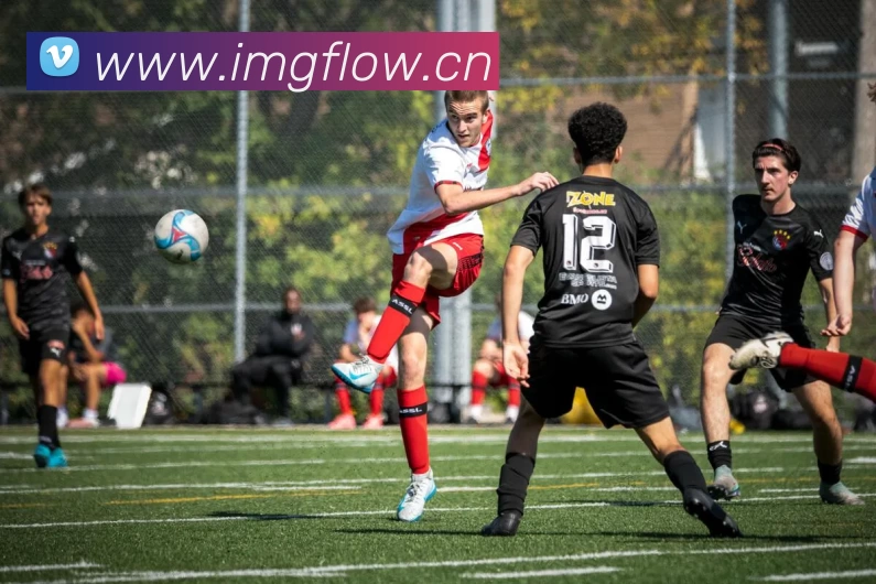 多媒体互动体验